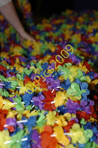 SOM09-007