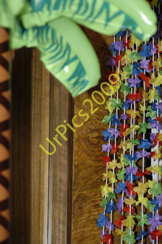 SOM09-025