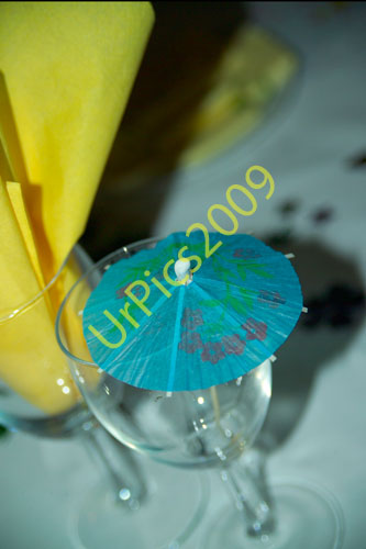 SOM09-332