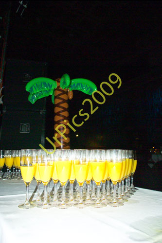 SOM09-334